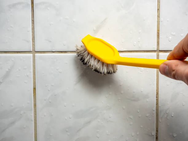 Professional Mold Remediation in Apple Valley, UT